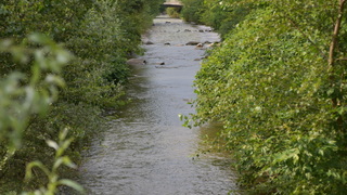 Dsc 0059