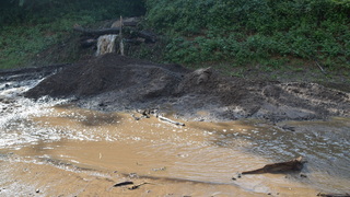 Dsc 0070