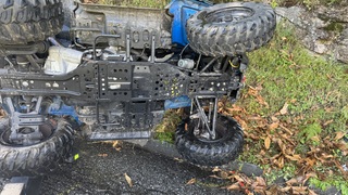 Img 3028