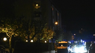 Dsc 0029