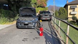 Img 2286