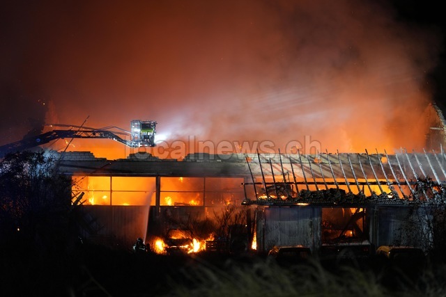 F6f36d5b 6a51 4c0a a624 3715b3ce038c