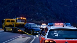 7d603d91 d663 4e33 894f 70bc410d926c