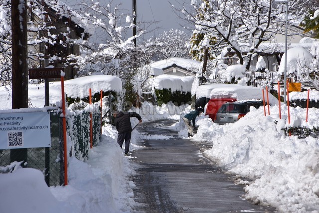 15032026 dsc 0002lut sepia ins