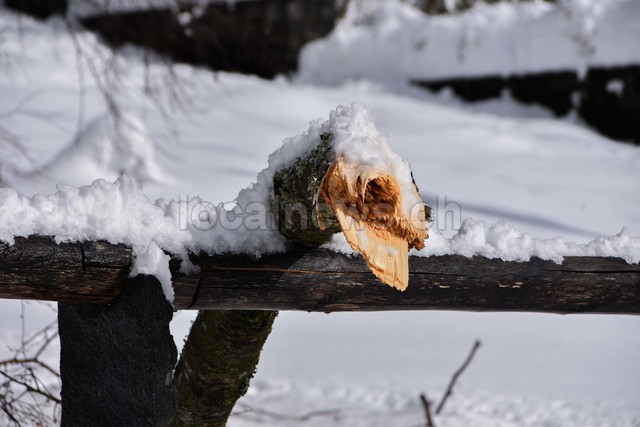 15032026 dsc 0003lut sepia ins