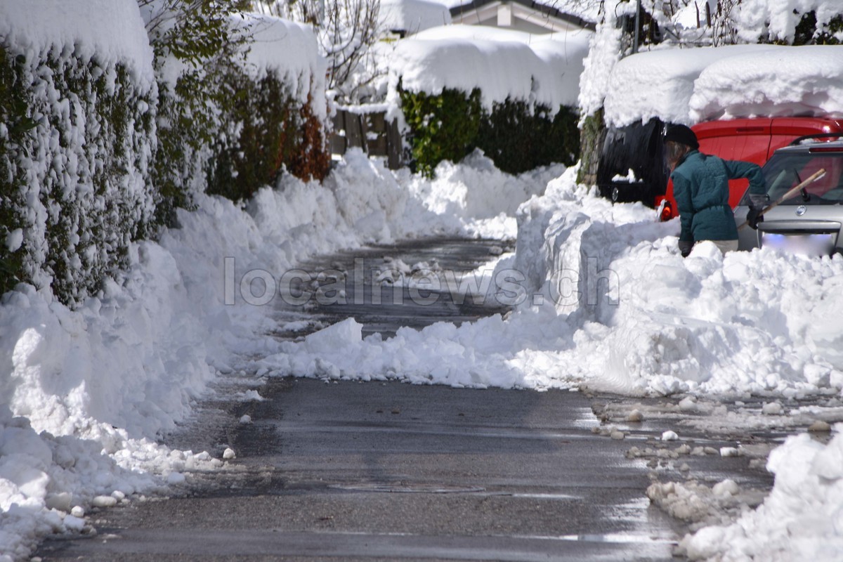 15032026 dsc 0006lut sepia ins