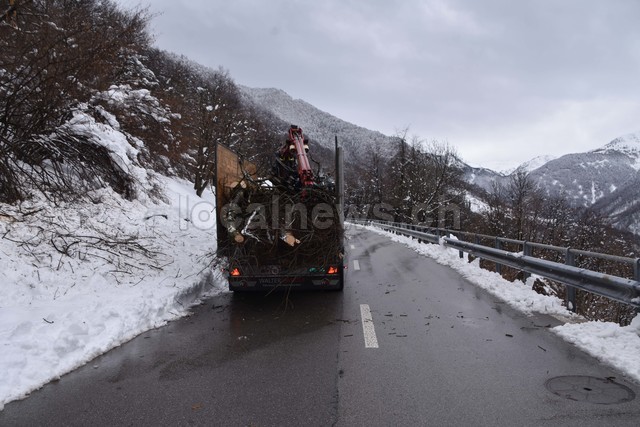 15032026 dsc 0008lut sepia ins