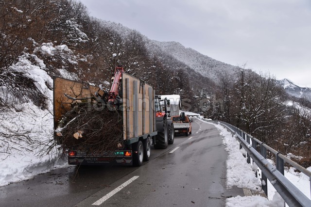 15032026 dsc 0012lut sepia ins