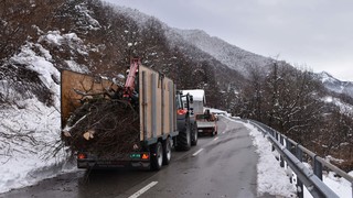 15032026 dsc 0012lut sepia ins