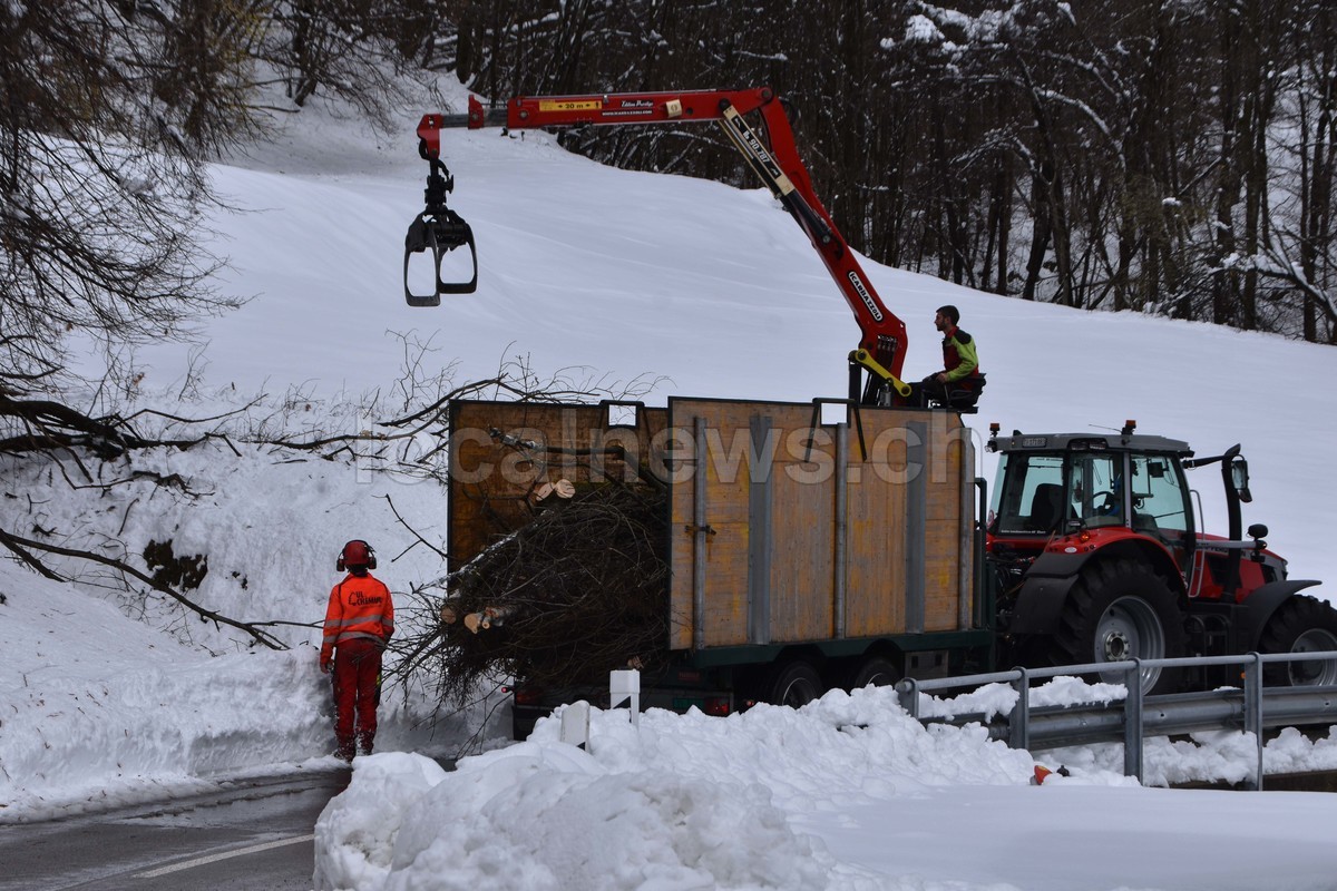 15032026 dsc 0013lut sepia ins