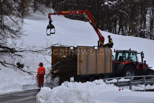 15032026 dsc 0013lut sepia ins