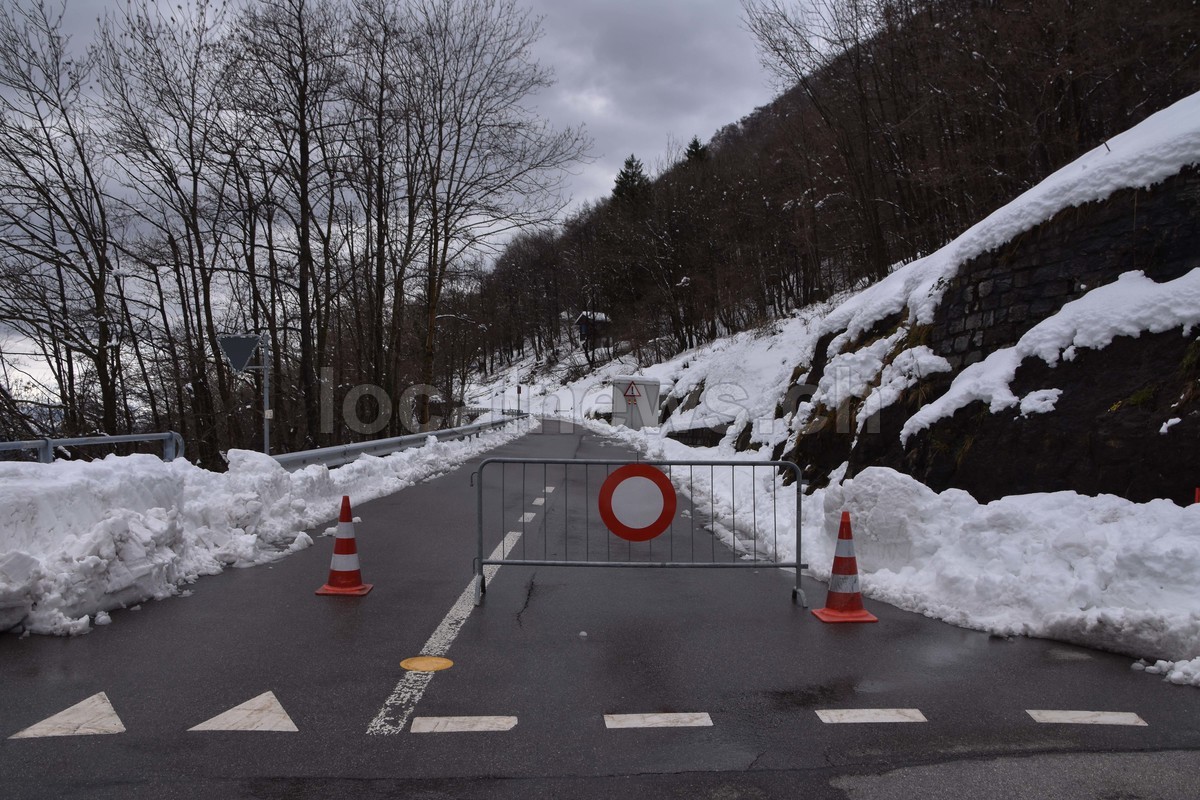 15032026 dsc 0017lut sepia ins