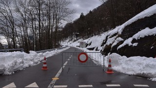 15032026 dsc 0017lut sepia ins