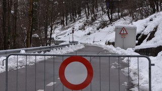 15032026 dsc 0018lut sepia ins