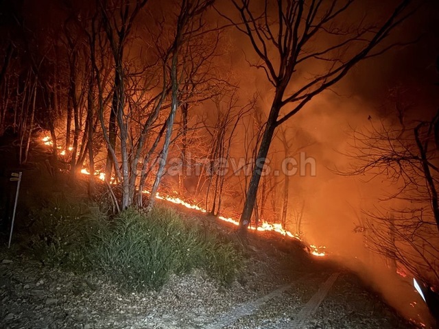 B244bc7f e51c 4df2 a193 2fc34516d369