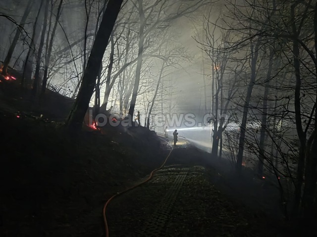 2b472fc9 77cc 4ee3 addc e5844cdc1b9c