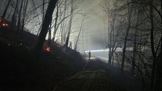 2b472fc9 77cc 4ee3 addc e5844cdc1b9c