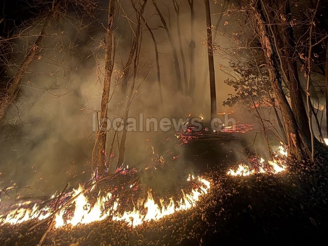 0a4b9a6e 6842 4d49 990f d94b1fe2abf5