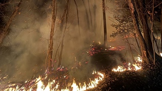 0a4b9a6e 6842 4d49 990f d94b1fe2abf5