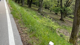 Img 3418