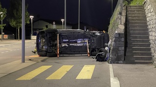 Img 3579