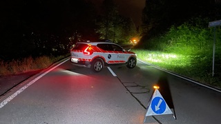 Img 3721