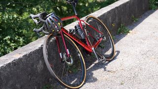 Img 5858