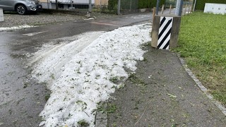 Img 3744