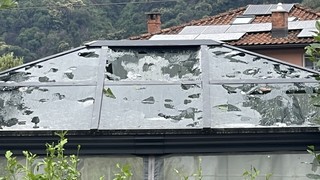 Img 3756