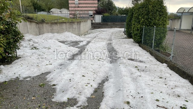 Img 3771
