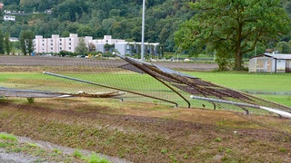 Dsc 0012