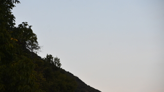 Dsc 0642