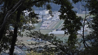 Dsc 0625