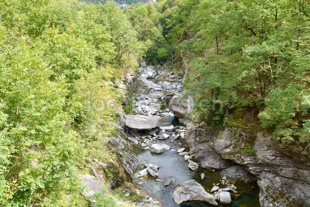 Dsc 0011