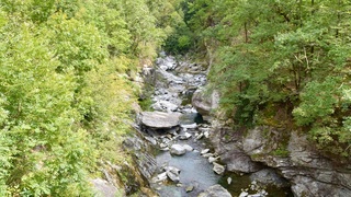 Dsc 0011