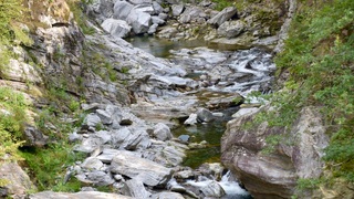 Dsc 0012
