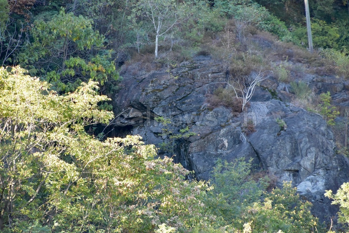 Dsc 0011